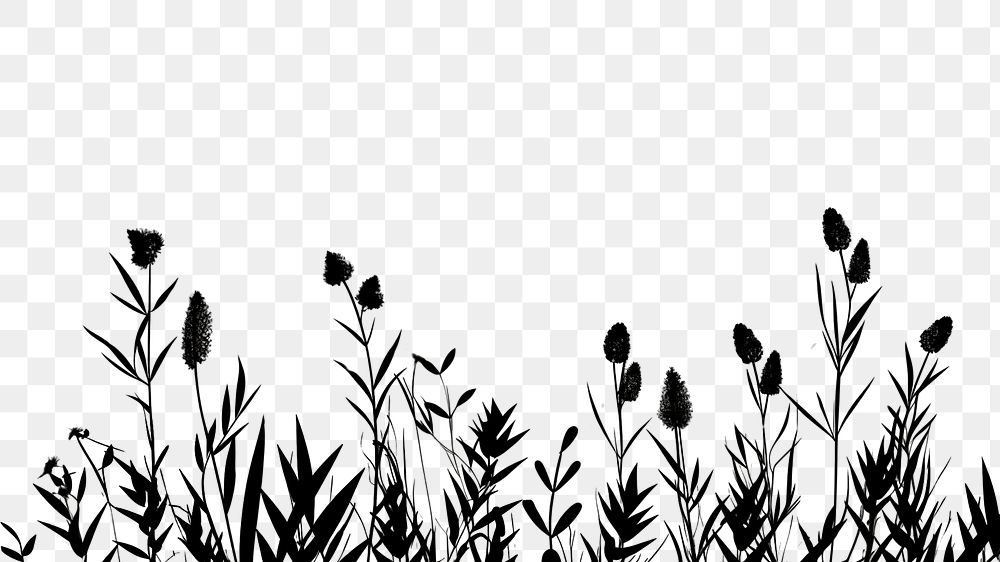 PNG  Plants border silhouette backgrounds outdoors. AI generated Image by rawpixel.
