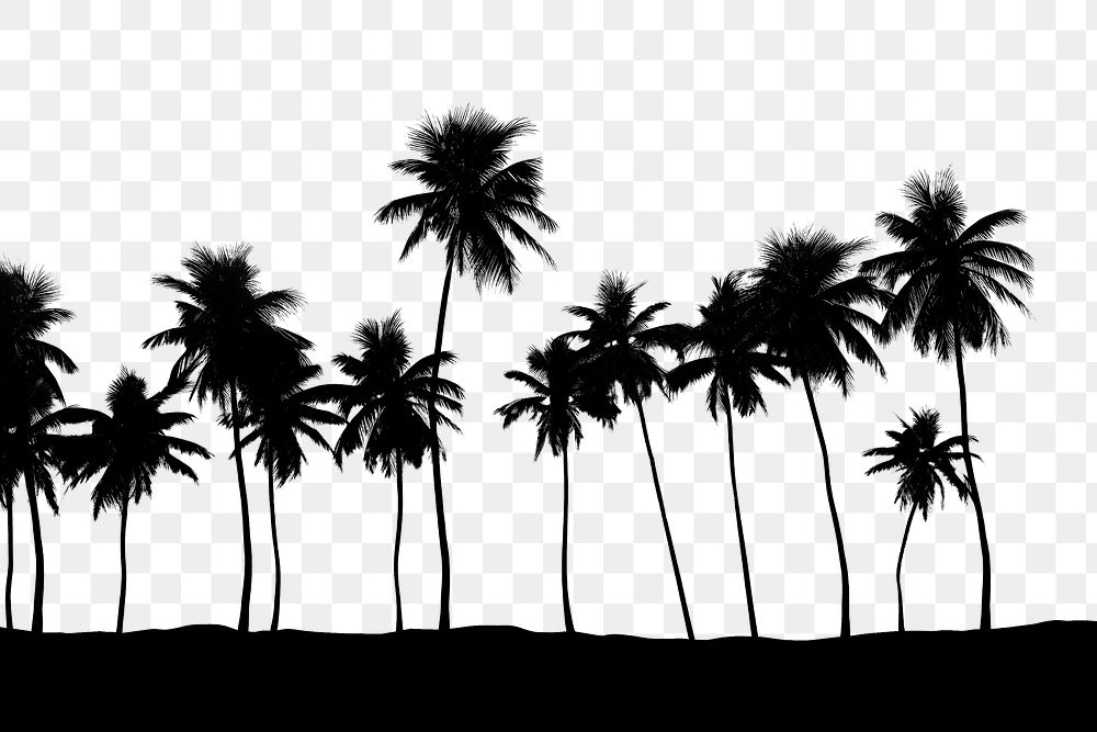 PNG  Beach with palm trees silhouette landscape outdoors. AI generated Image by rawpixel.