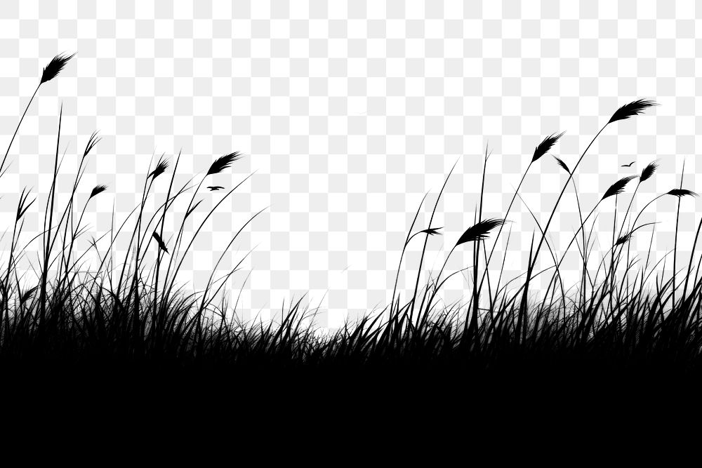 PNG  Grassland meadow silhouette landscape sunlight. AI generated Image by rawpixel.