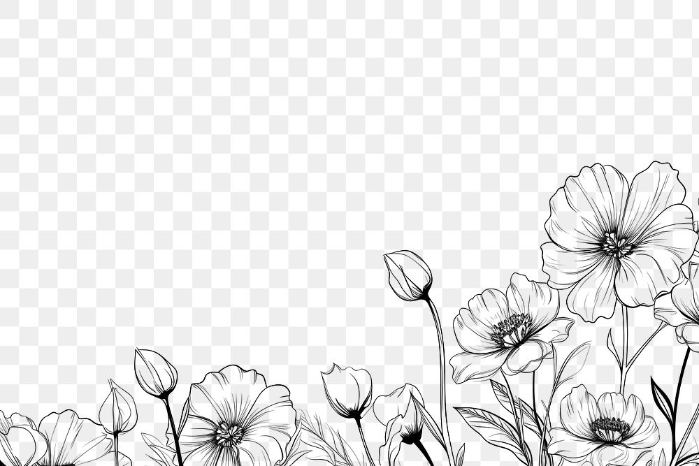 PNG  Flower backgrounds drawing sketch. AI generated Image by rawpixel.