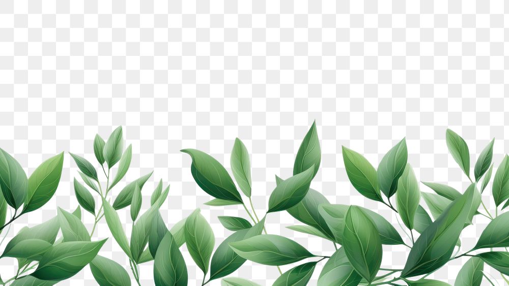 PNG  Leaf pattern plant green. AI generated Image by rawpixel.