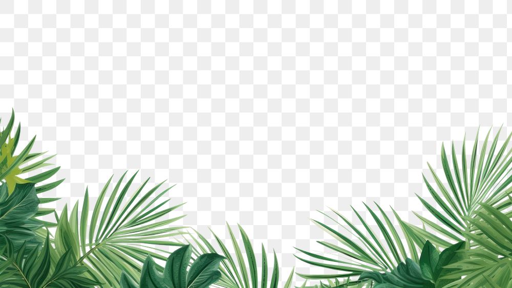 PNG  Palm leaves backgrounds outdoors nature. AI generated Image by rawpixel.
