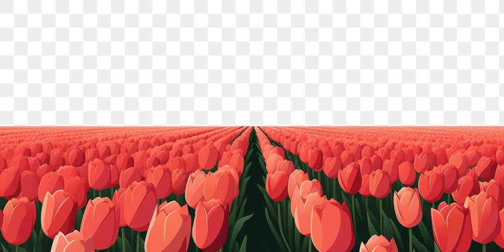 PNG Tulip flower field landscape outdoors nature. AI generated Image by rawpixel.