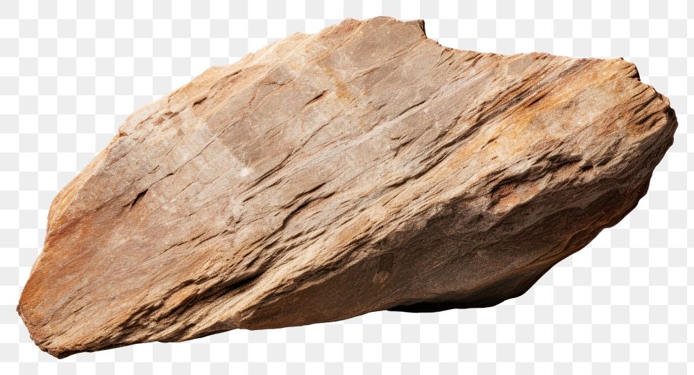 PNG Rock wood white background paleontology. 