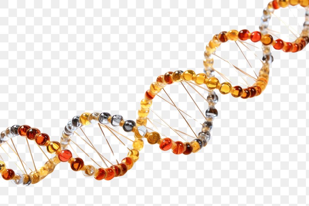PNG DNA strand science jewelry white background. AI generated Image by rawpixel.