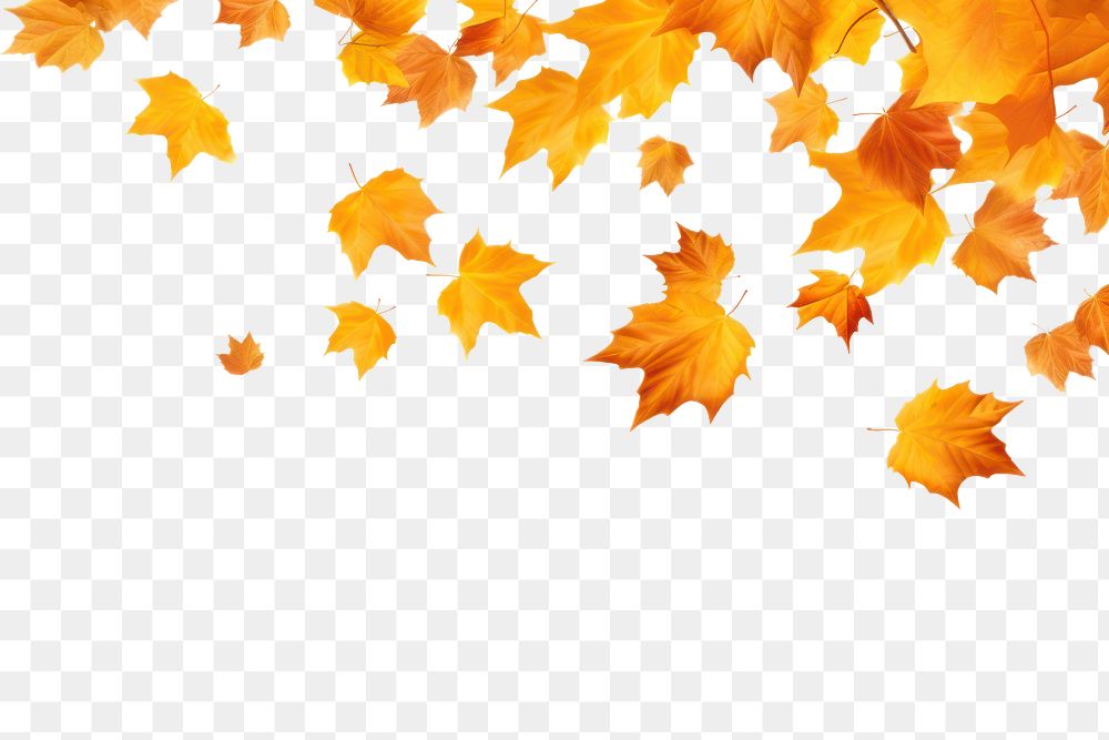 PNG Autumn leaves backgrounds falling maple. AI generated Image by rawpixel.