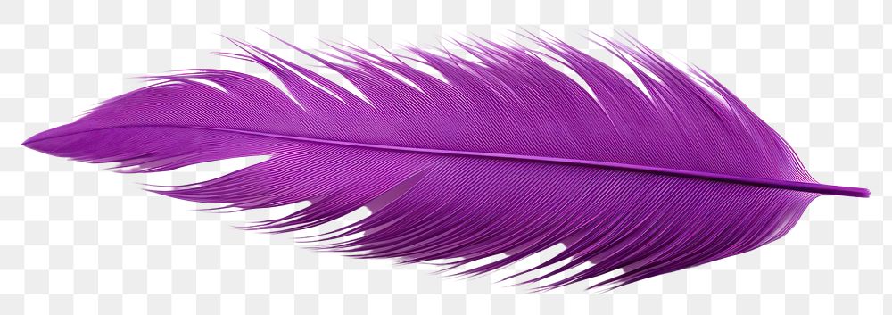 PNG  Feather purple white background lightweight. AI generated Image by rawpixel.