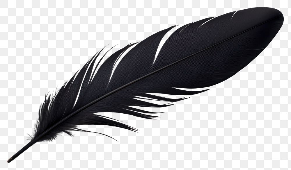 PNG Feather white background lightweight fragility. AI generated Image by rawpixel.