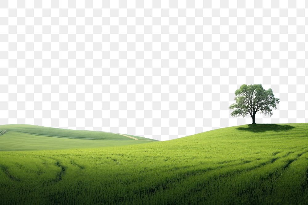 PNG Spring field landscape outdoors horizon. AI generated Image by rawpixel.