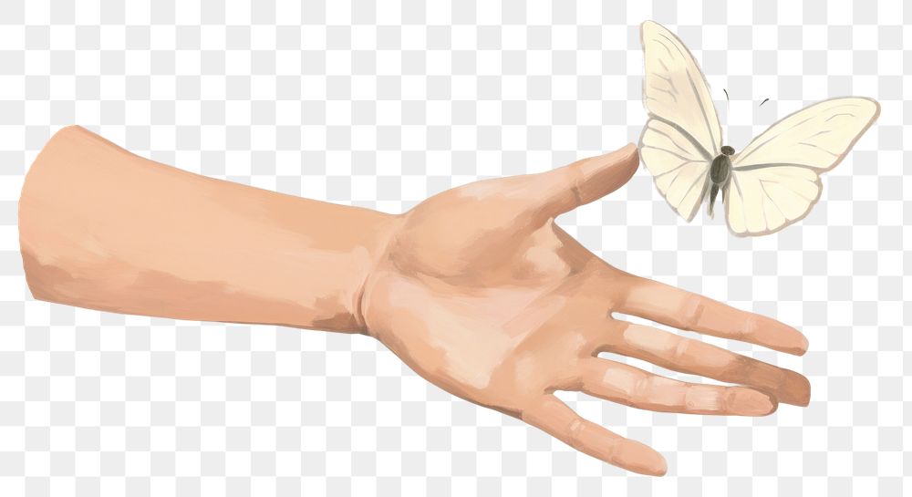 PNG  Hand holding butterfly animal insect finger. AI generated Image by rawpixel.
