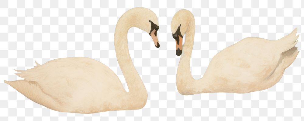 PNG  2 swans in the lake painting animal bird. AI generated Image by rawpixel.