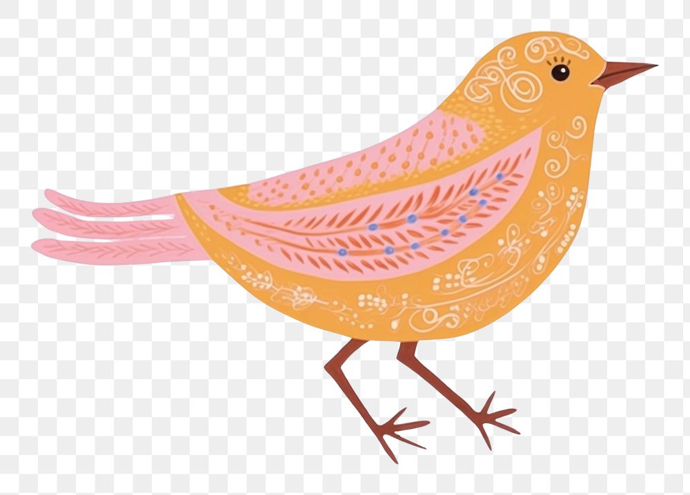 PNG Bird animal robin art. AI generated Image by rawpixel.
