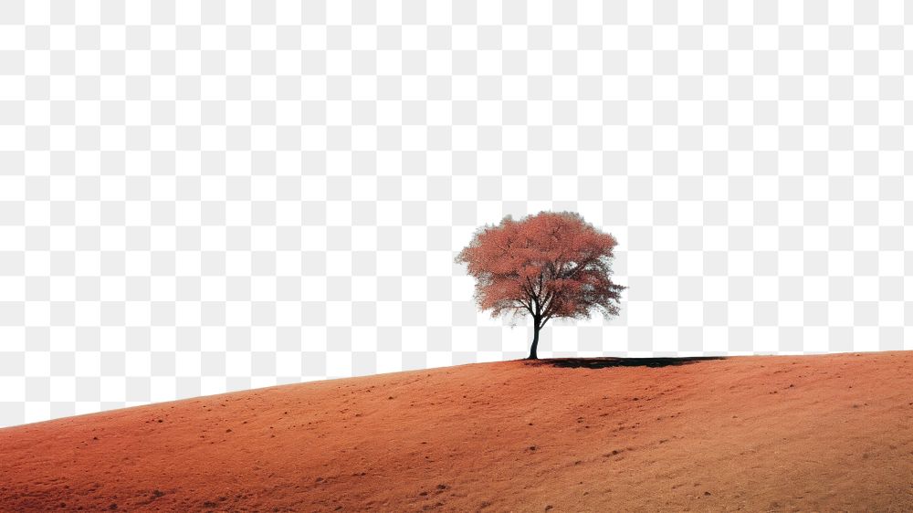 PNG A lone tree sitting on top of a hill landscape outdoors horizon. AI generated Image by rawpixel.
