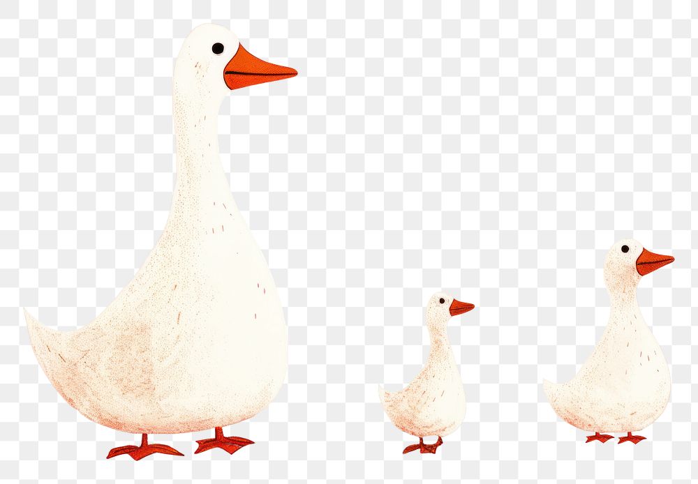 PNG Family of duck animal goose bird. AI generated Image by rawpixel.