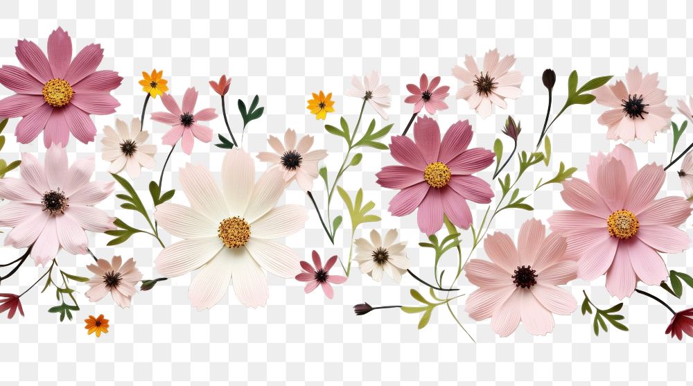PNG Cosmos flower pattern petal. AI generated Image by rawpixel.