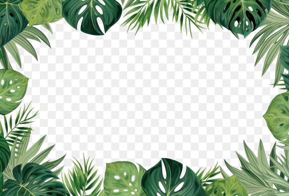 PNG Tropical leaves outdoors nature forest. AI generated Image by rawpixel.