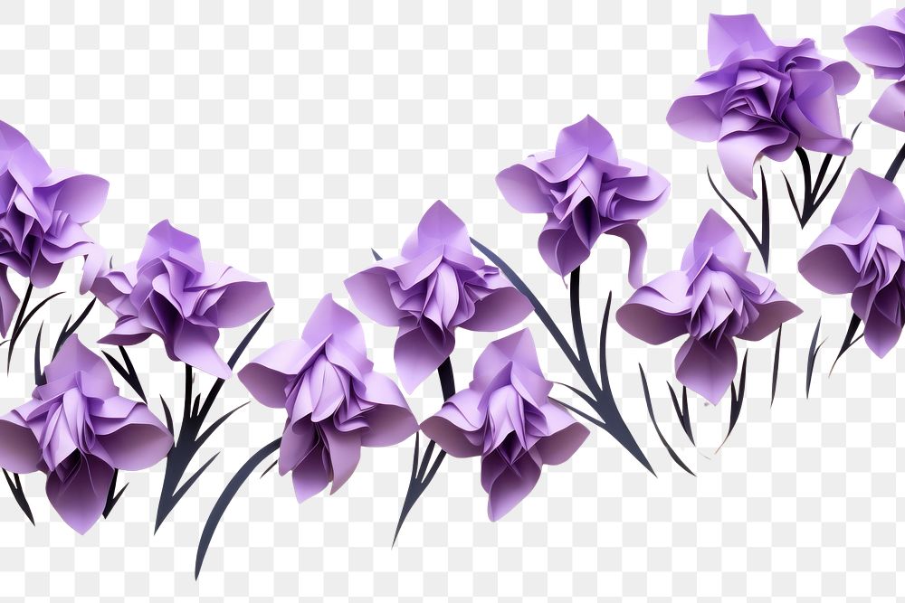 PNG Iris flower purple petal. AI generated Image by rawpixel.