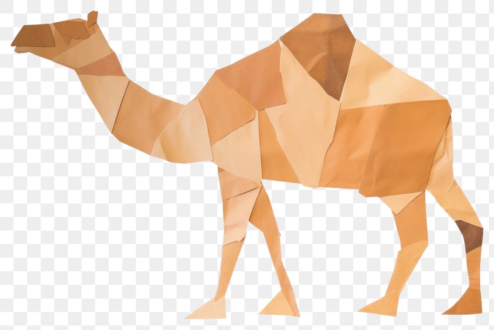 PNG  Camel mammal animal livestock. AI generated Image by rawpixel.