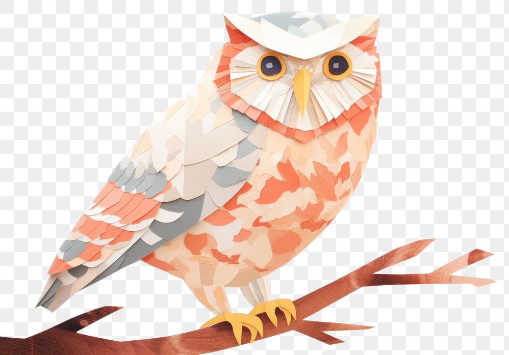 PNG  Owl animal bird beak. AI generated Image by rawpixel.