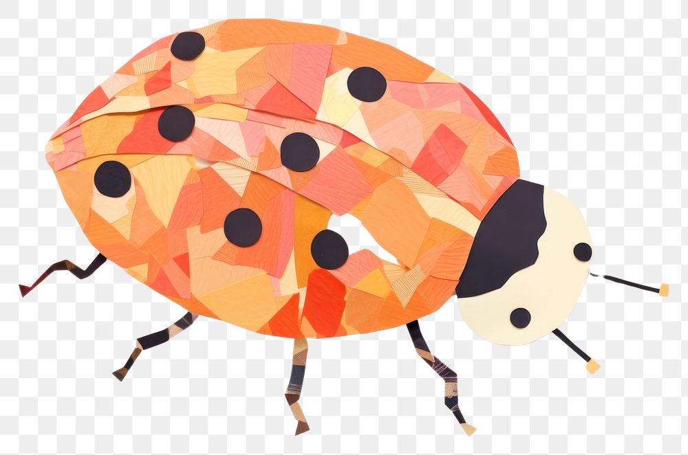 PNG  Ladybug animal insect invertebrate. AI generated Image by rawpixel.
