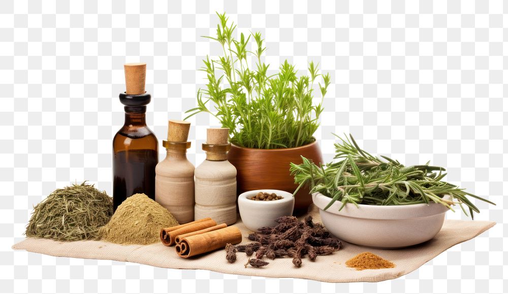 PNG Medicine Herbs herbs medicine plant. AI generated Image by rawpixel.