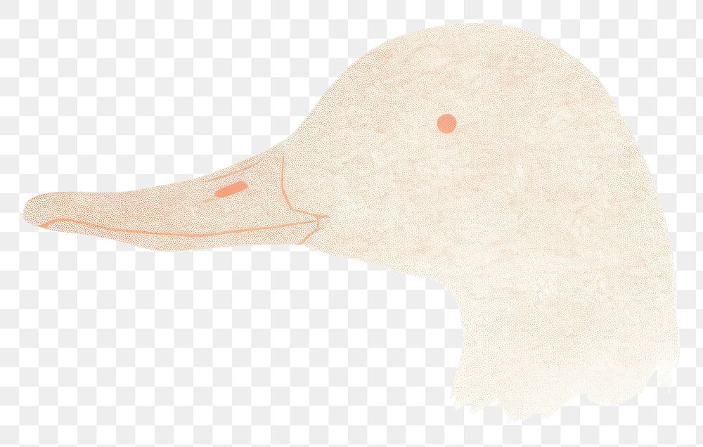 PNG Duck animal bird white background. AI generated Image by rawpixel.
