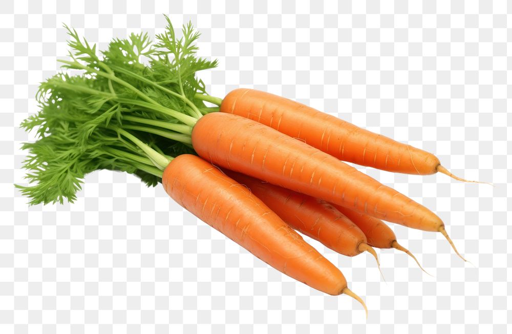 PNG  Carrots vegetable plant green. AI generated Image by rawpixel.