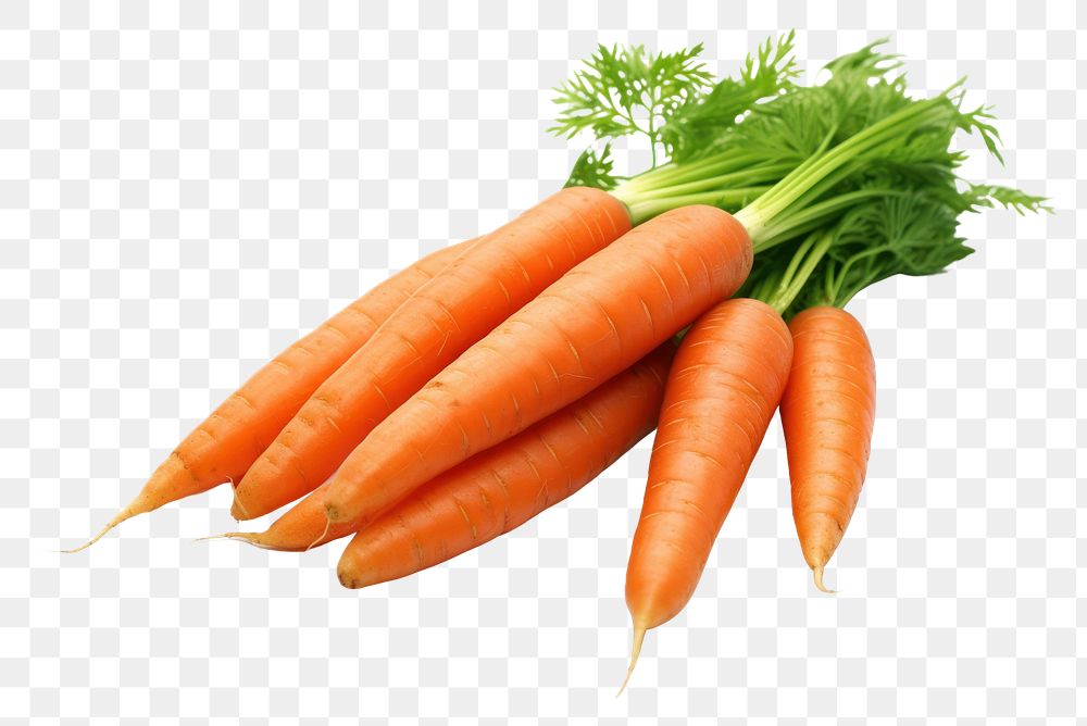 PNG  Carrots vegetable plant green AI generated Image by rawpixel