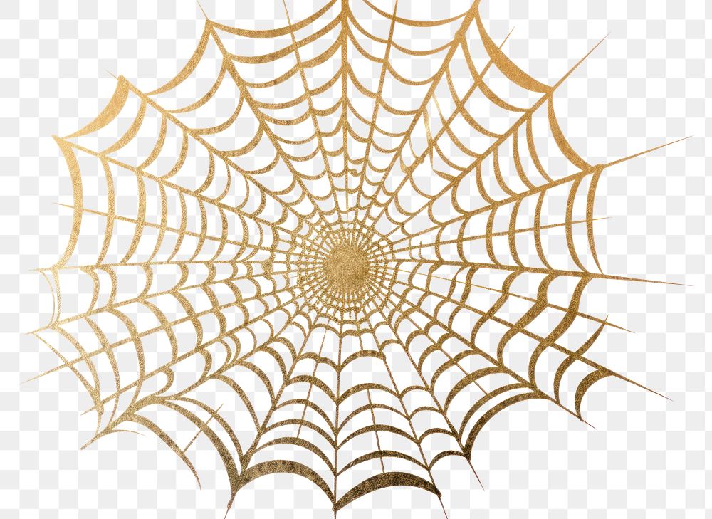 PNG  Spider web backgrounds concentric complexity. AI generated Image by rawpixel.