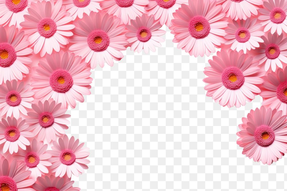 PNG Gerbera flower backgrounds petal. AI generated Image by rawpixel.