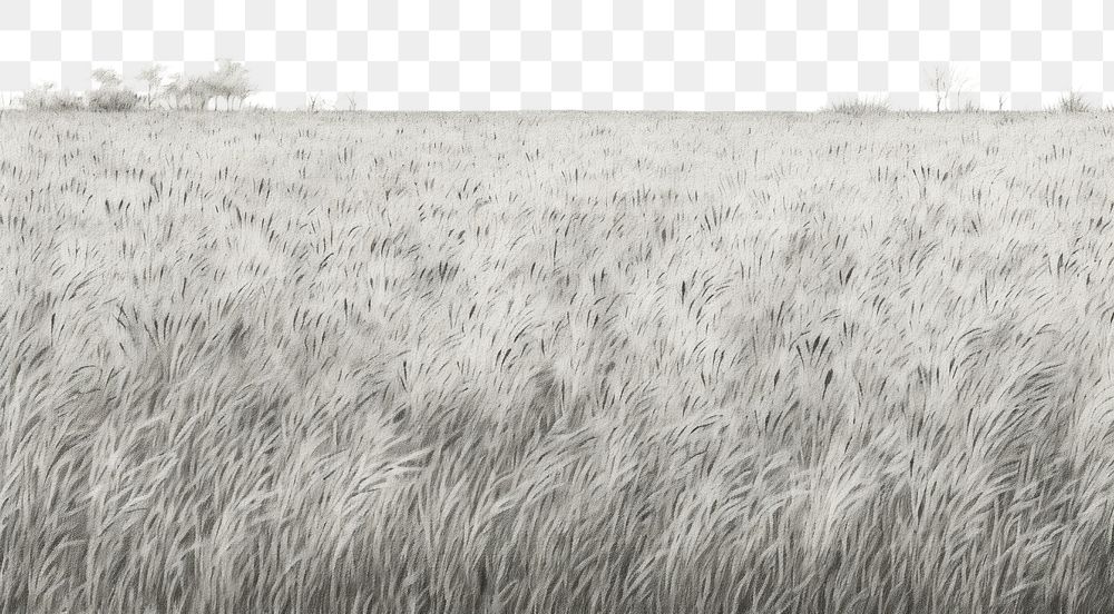 PNG  Grass field outdoors nature plant. AI generated Image by rawpixel.
