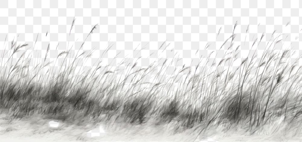PNG  Grass field backgrounds plant tranquility. AI generated Image by rawpixel.