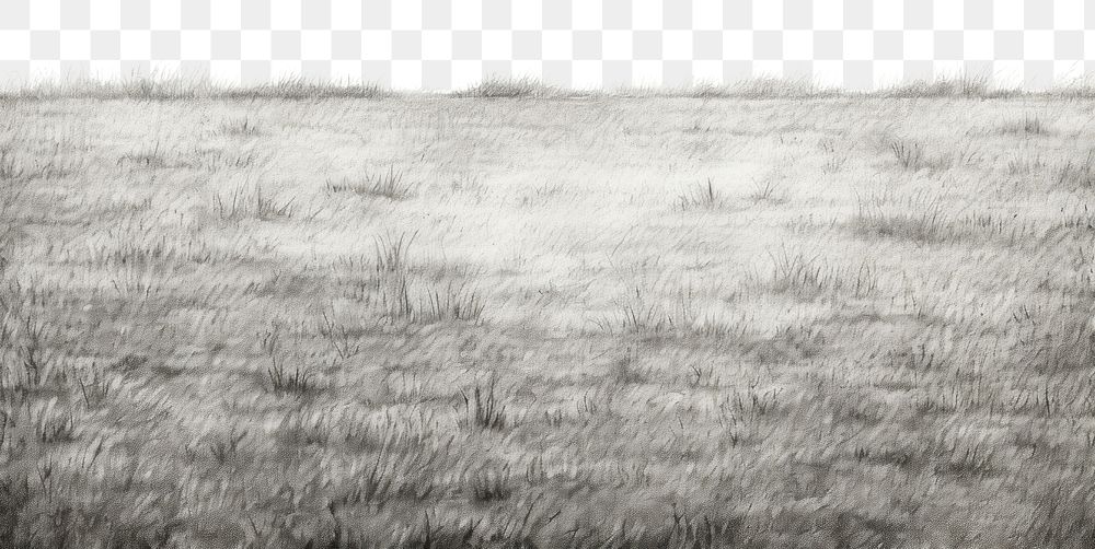 PNG  Grass field backgrounds outdoors nature. AI generated Image by rawpixel.
