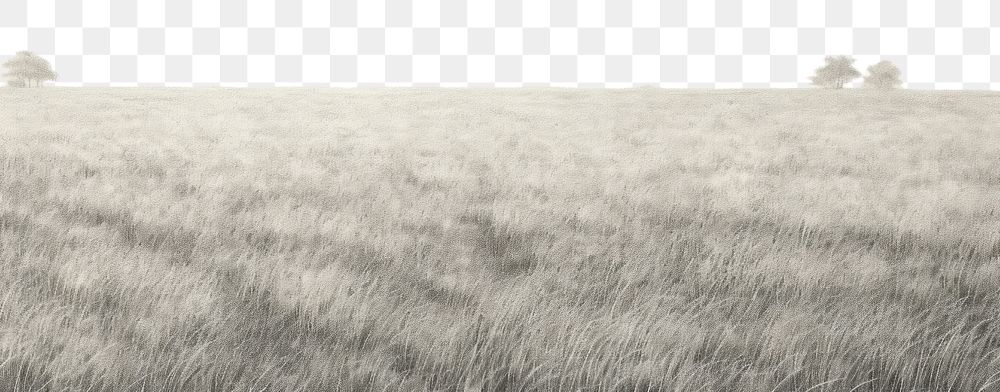 PNG  Grass field backgrounds outdoors horizon. AI generated Image by rawpixel.