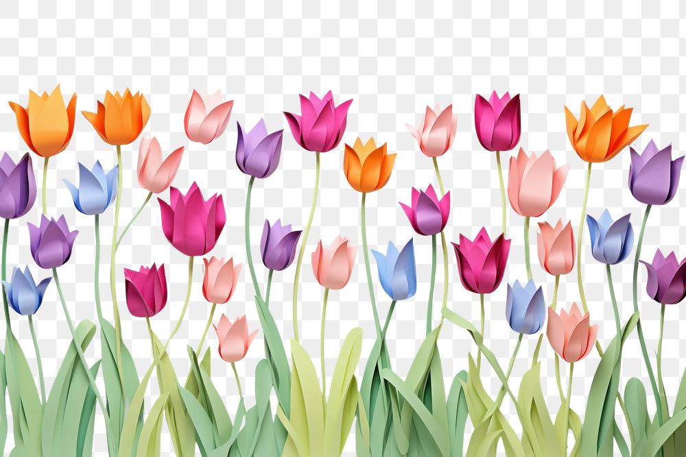 PNG Tulip flower backgrounds outdoors. AI generated Image by rawpixel.