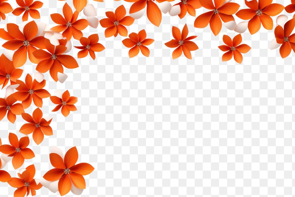 PNG Orange flower backgrounds pattern petal. AI generated Image by rawpixel.