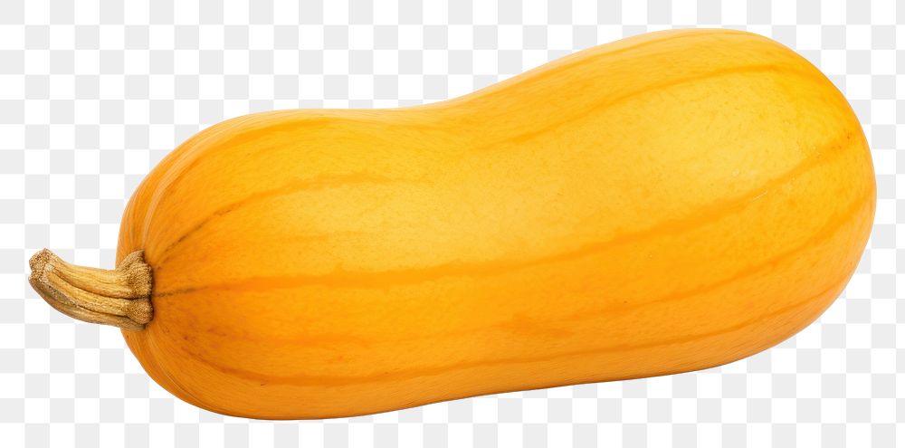 PNG  Spiced butternut squash vegetable pumpkin plant. AI generated Image by rawpixel.
