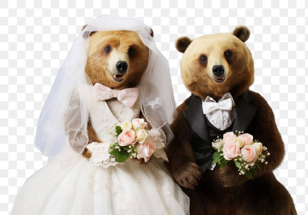 PNG Baby bear wedding mammal animal. AI generated Image by rawpixel.