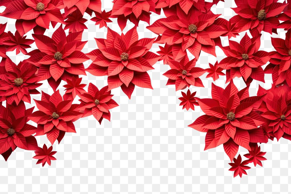 PNG Poinsettia flower backgrounds petal. AI generated Image by rawpixel.