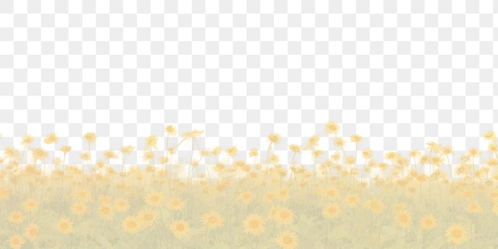 PNG Sunflower field background backgrounds plant tranquility. AI generated Image by rawpixel.