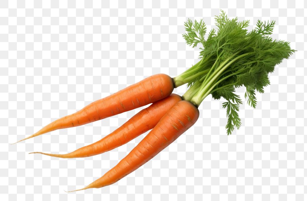 PNG  Two carrots vegetable plant green. AI generated Image by rawpixel.