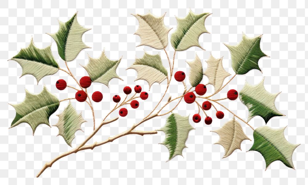 PNG Christmas holly celebration pattern plant. AI generated Image by rawpixel.
