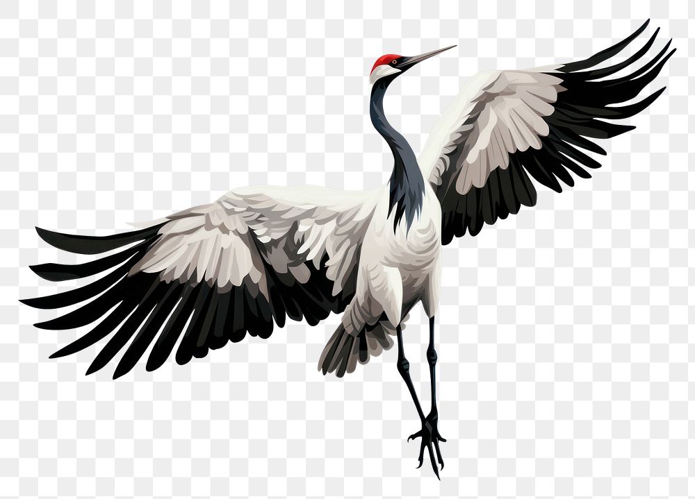 PNG Kung fu crane animal bird white background. AI generated Image by rawpixel.