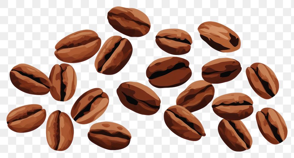 PNG Brown coffee beans food nut white background. AI generated Image by rawpixel.