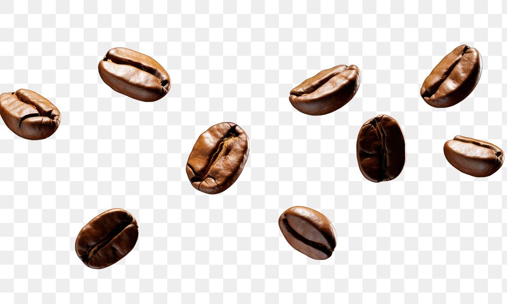 PNG  8 coffee seeds coffee beans freshness astronomy. AI generated Image by rawpixel.