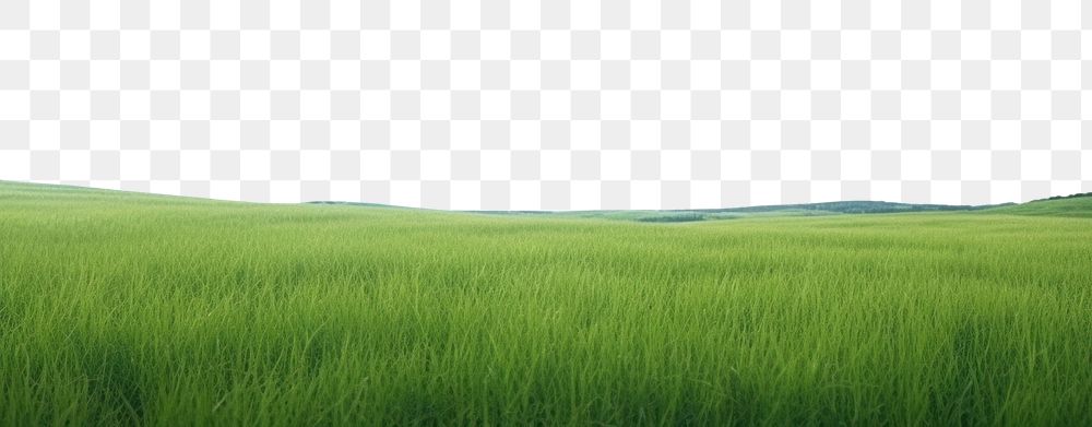 PNG  A grassy field with clear blue sky backgrounds outdoors horizon. AI generated Image by rawpixel.