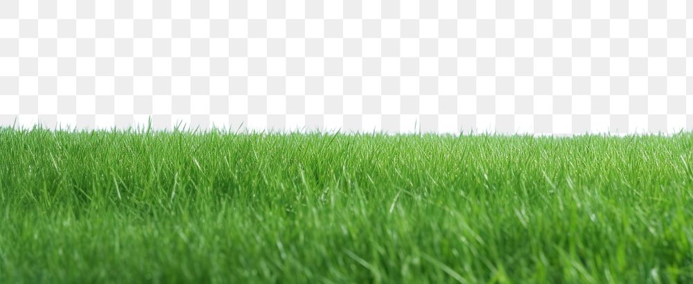 PNG  A grassy field with clear blue sky backgrounds outdoors nature. AI generated Image by rawpixel.