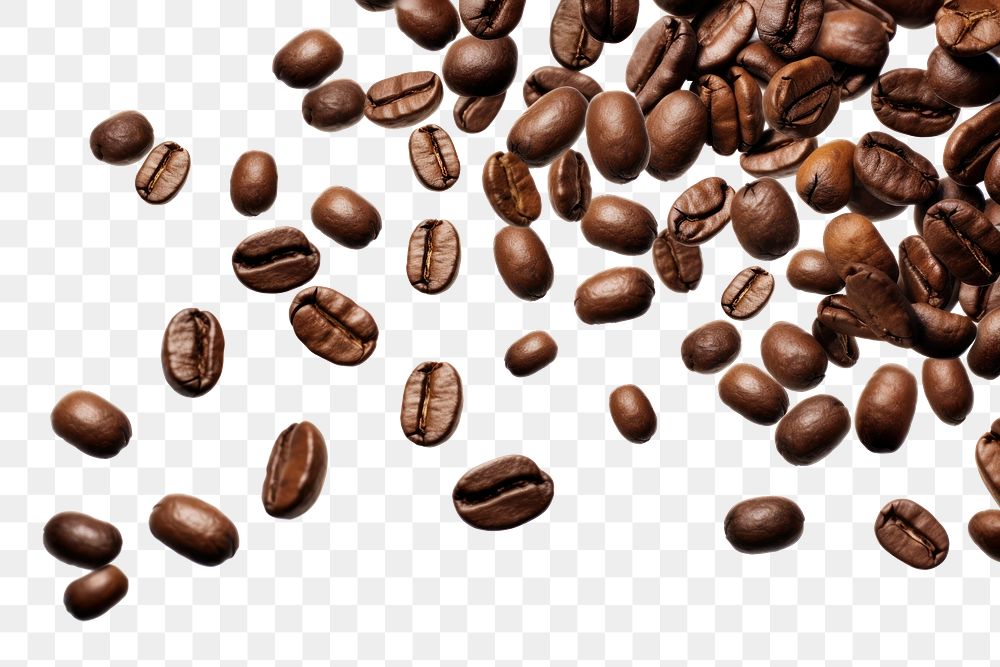 PNG  Coffee beans backgrounds white background freshness. AI generated Image by rawpixel.