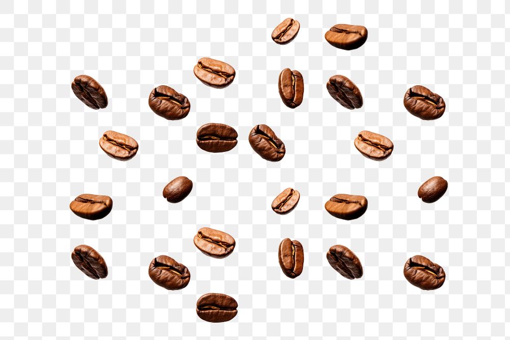 PNG  8 coffee seeds backgrounds white background coffee beans. AI generated Image by rawpixel.