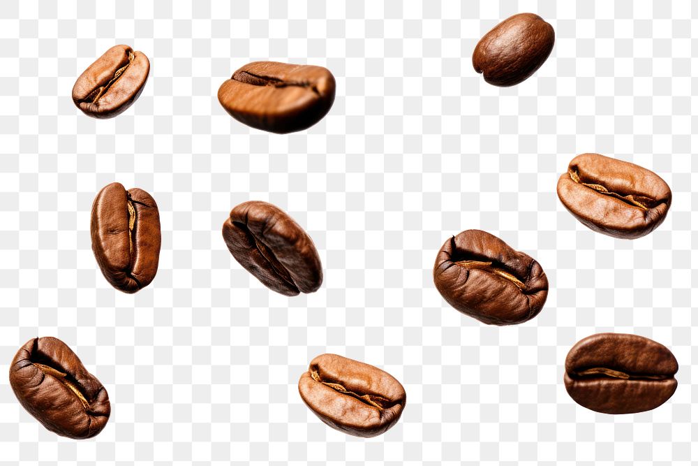 PNG  8 coffee seeds backgrounds white background coffee beans. AI generated Image by rawpixel.